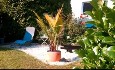 Ein Garten an der Unterkunft Ferienwohnung Ebel
