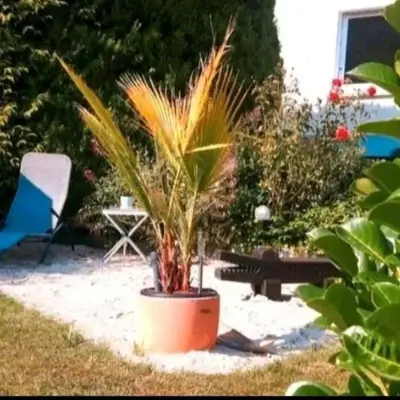 Ferienwohnung Ebel