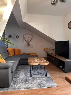 TV/Unterhaltungsangebot in der Unterkunft Dachnest mit Charme
