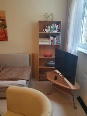 TV/Unterhaltungsangebot in der Unterkunft Lovely Souterrain Apartment