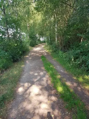 Naturlandschaft in der Nähe der Ferienwohnung