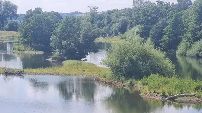 Naturlandschaft in der Nähe der Pension