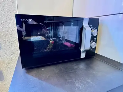 TV/Unterhaltungsangebot in der Unterkunft Reviernest