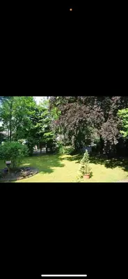 Ein Garten an der Unterkunft Hostel Apartment Monteurzimmer Solingen