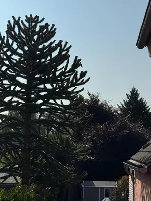 Grundriss der Unterkunft Gemütliche Ferienwohnung mit eigenem Eingang am Speldorfer Wald