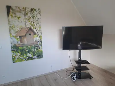 TV/Unterhaltungsangebot in der Unterkunft FeWo21 Ferienwohnung im schönen Münsterland