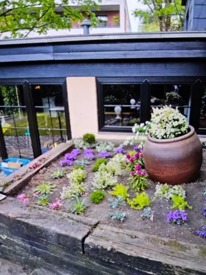 Ein Garten an der Unterkunft Hotel&Spa am Oppspring