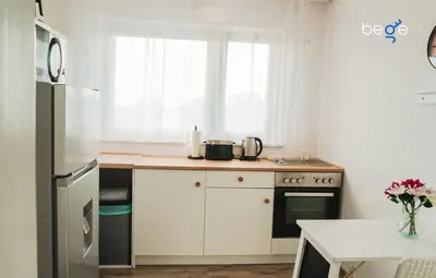 Küche/Küchenzeile in der Unterkunft BEGE APARTMENTS Remote Base