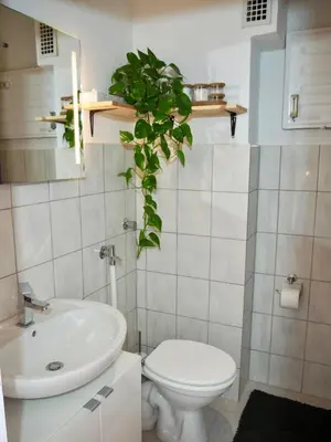 Ein Badezimmer in der Unterkunft Apartment Friedrich
