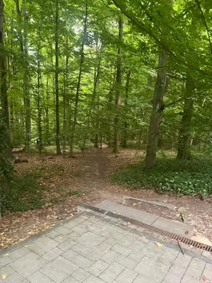 Ein Garten an der Unterkunft Auszeit direkt am Toelleturm -Barmer Anlagen