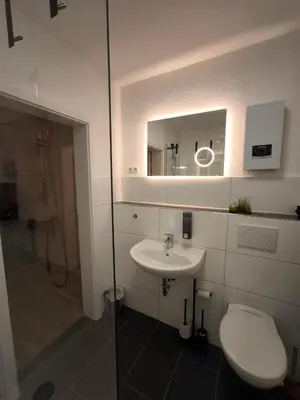 Ein Badezimmer in der Unterkunft BioNaturSuite Kortum1745, HBF, Bermuda3Eck, Musikforum, Starlight Express, Museum