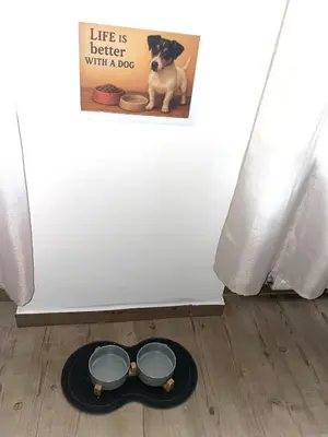 Haustiere von Gästen der Unterkunft NEU- APPARTMENT in HAGEN nähe DORTMUND - 3 Parking! 3 Double-Bed! 2 Bedrooms, WIFI, COFFEMASHINE-Fully Automatic, KITCHEN, NETFLIX,DISNEY,MAGENTA