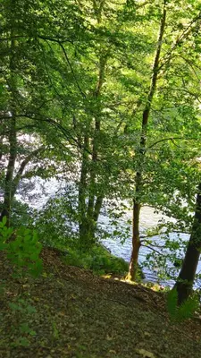 Naturlandschaft in der Nähe der Ferienwohnung