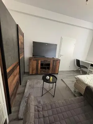 TV/Unterhaltungsangebot in der Unterkunft Seibel's SUITES - Big in Essen - Family & Group