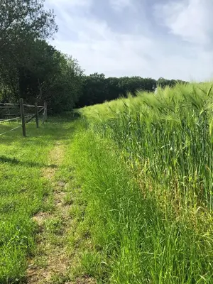 Naturlandschaft in der Nähe der Villa