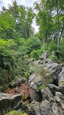Naturlandschaft in der Nähe der Ferienwohnung