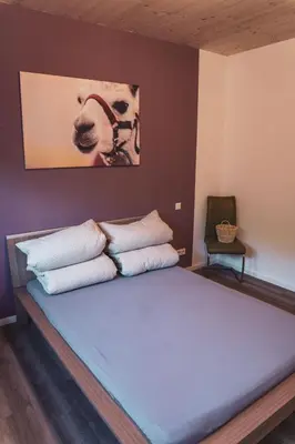 Ein Bett oder Betten in einem Zimmer der Unterkunft Ferienwohnung Sternenzelt Alpakas - Natur & Tiere hautnah erleben