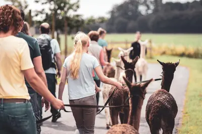 Gäste, die in der Unterkunft Ferienwohnung Sternenzelt Alpakas - Natur & Tiere hautnah erleben übernachten
