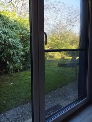 Ein Garten an der Unterkunft Blaues Haus - kleinere Doppelhaushälfte in Stadtkernnähe mit traumhaftem Bad und Küche