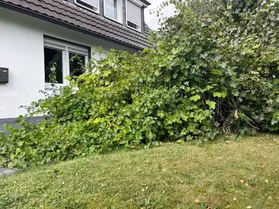 Ein Garten an der Unterkunft Ferienwohnung Nelly