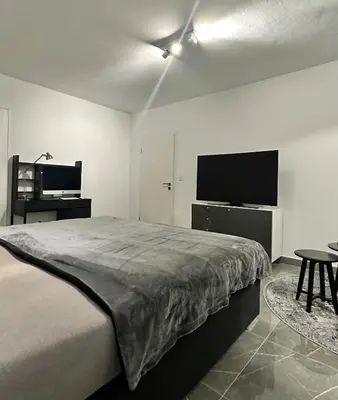 TV/Unterhaltungsangebot in der Unterkunft Messe Apartment - Near Trade Fair