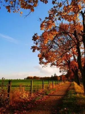Naturlandschaft in der Nähe der Ferienwohnung