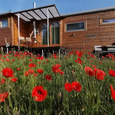 Tiny house with view of nature