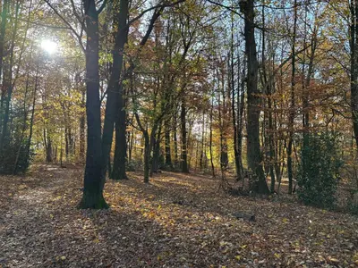 Naturlandschaft in der Nähe der Ferienwohnung