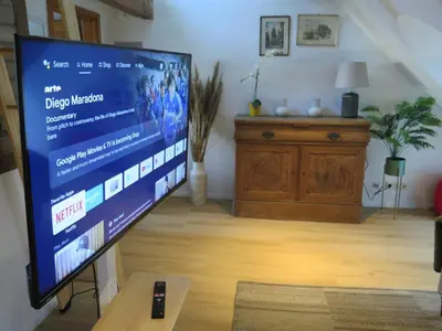 TV/Unterhaltungsangebot in der Unterkunft 'Emma' die charmante Wohnung - gemütlich & zentral