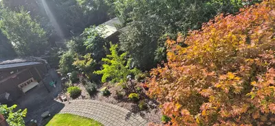 Ein Garten an der Unterkunft Gemütliche Ferienwohnung Monteurzimmer Schultendorf