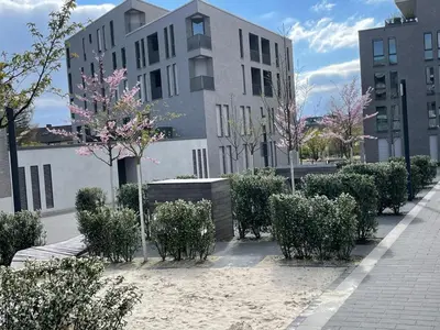 Das Gebäude in dem sich die Ferienwohnung befindet