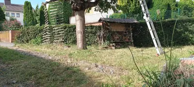 Ein Garten an der Unterkunft Fachwerkhaus mit Garten nah an Stadt und Natur