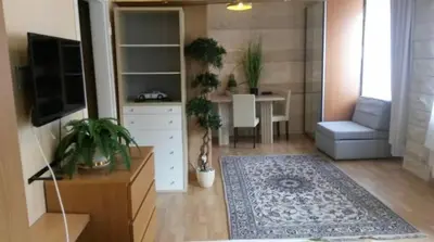 TV/Unterhaltungsangebot in der Unterkunft City Adler Apartment