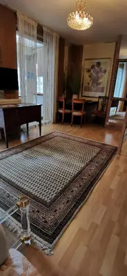 TV/Unterhaltungsangebot in der Unterkunft City Adler Apartment