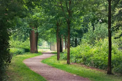 Ein Garten an der Unterkunft Gemütlich im Pott, nahe Essen und Veltins Arena