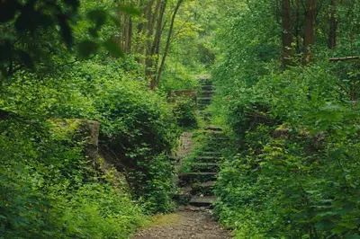 Naturlandschaft in der Nähe der Ferienwohnung