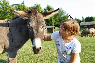 Tiere im Hotel oder in der Nähe