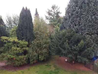 Ein Garten an der Unterkunft Stadt-Land-Bochum Stiepel