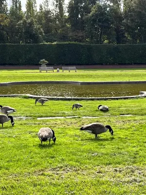 Tiere in der Ferienwohnung oder in der Nähe