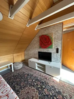 TV/Unterhaltungsangebot in der Unterkunft Möbliertes Haus mit Garten im Herzen von Moers