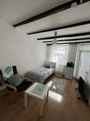 TV/Unterhaltungsangebot in der Unterkunft Cozy Studio Apartment in Düsseldorf Altstadt