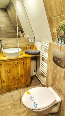 Ein Badezimmer in der Unterkunft Finnhütte bei GRETA