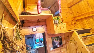 Küche/Küchenzeile in der Unterkunft Finnhütte bei GRETA