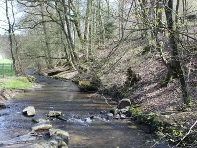 Naturlandschaft in der Nähe der Ferienwohnung