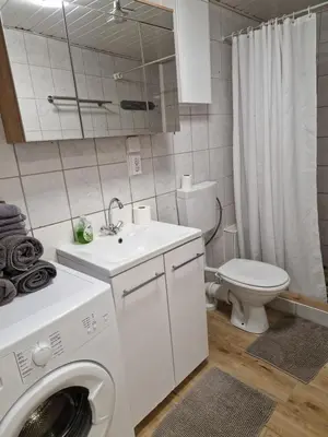 Ein Badezimmer in der Unterkunft Pension Moers am Geleucht Fewo 1