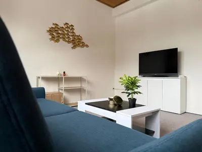 TV/Unterhaltungsangebot in der Unterkunft Bettina City Flat - Ground Floor