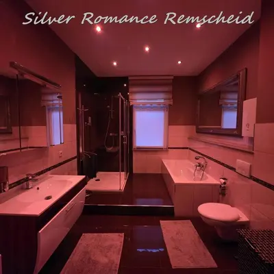 Ein Badezimmer in der Unterkunft Romantikapartment Silver Romance