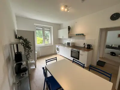 Küche/Küchenzeile in der Unterkunft Socha Apartments- Monteurwohnung in Mettmann
