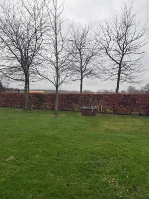 Ein Garten an der Unterkunft Q80 Appartement