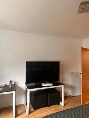 TV/Unterhaltungsangebot in der Unterkunft Apartment near the city center